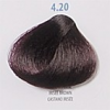 PROFESSIONAL HAIR COLOUR 
