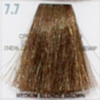PROFESSIONAL HAIR COLOUR 