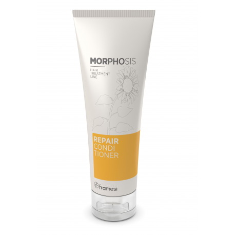 FRAMESI REPAIR CONDITIONER 