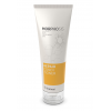 FRAMESI REPAIR CONDITIONER 