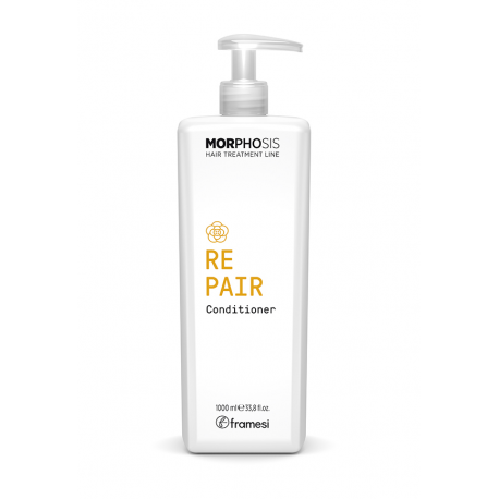 FRAMESI REPAIR CONDITIONER 