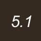 5.1 LIGHT ASH BROWN