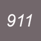 911 SILVER WISTARIA